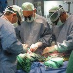 לב מלאכותי הושתל בגבר בן 70-תמונה