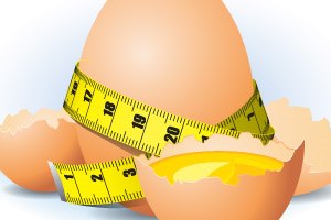 האם חוסר במאכלים מסוימים יכול להעלות כולסטרול ו-LDL?-תמונה