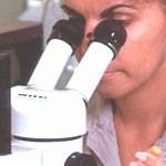 חוק איסור התערבות גנטית- הנוסח המלא