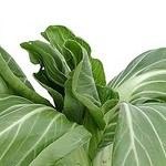 ו....שוב על דיאטה ...-תמונה