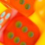 נקודת הג'י, קווים לדמותה