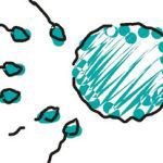 ציטולוגיה - תמונת המחשה