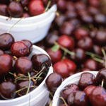 על הצמחונות-תמונה