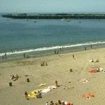 כמו בכל שנה: מדוזות