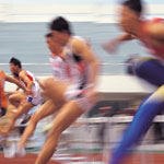 הקשר בין הגוף לגוף