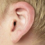 צרכנות רפואית מדור מס' 25-תמונה