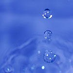 ועוד על שמן דגים - לקראת חג השמן...-תמונה