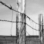 פורום ניצולי שואה ודור ההמשך-תמונה