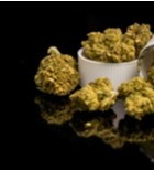 קנאביס רפואי