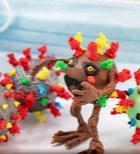 חיידקים ווירוסים