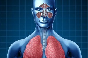 תפקוד בעת מחלת ריאות חסימתית כרונית (COPD)  (אילוסטרציה)