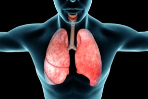 צילום: שאטרסטוק