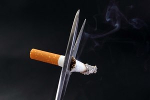 צילום: שאטרסטוק