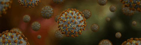 מסע בהיסטוריה: על הקשר בין מחלות עבר לוירוס הקורונה-תמונה