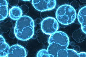 פוליו: עדיין יש שרידים בדרום הארץ