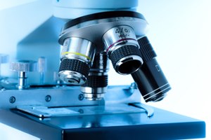 מחקר: להכניע את החיידק הטורף-תמונה