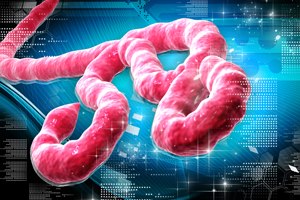 Zmapp - תמונת אווירה