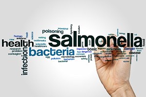 סלמונלה בקורנפלקס: מה עושים?-תמונה