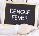 טסים בקרוב? שימו לב להנחיות לגבי קדחת הדנגי-תמונה