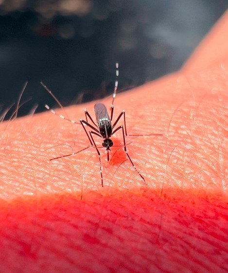 הפרעות במערכת העצבים המרכזית - תמונת אווירה