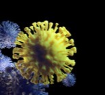 מוטציה חדשה לנגיף הקורונה