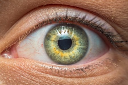 העיניים נותנות אינדיקציה מלאה על איברי הגוף השונים. צילום: שאטרסטוק