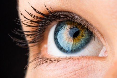 העיניים מקושרות דרך מערכת העצבים לכל מערכות הגוף. צילום: thinkstock