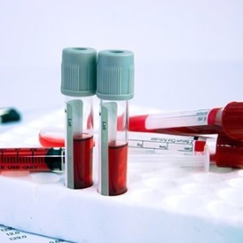 פתיח לפורום המטולוגיה