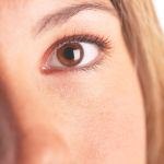 ערמון לבן - תמונת המחשה