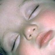 לילה לילה-תמונה