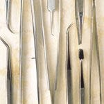 הריון עם שיניים