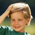 מסרק כינים - תמונת אווירה