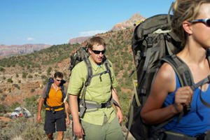 שושנת יריחו: היזהרו מזבוב החול-תמונה