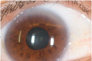 ספורט ואירידיולוגיה (צילום: רומי חוכמה)