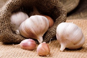 שום ויתר לחץ דם (אילוסטרציה)