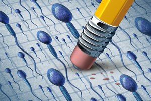 מחלה צרברווסקולרית - תמונת אווירה