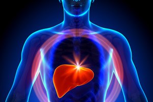 סופוסבוביר - תמונת המחשה