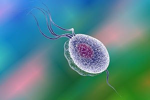 שיטת אריקסון - תמונת המחשה