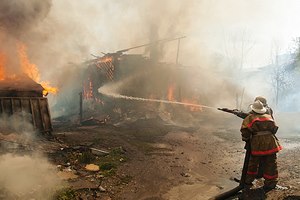 לשון שעירה - תמונת המחשה