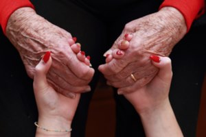 טיפול באמצעות בעלי חיים - תמונת אווירה