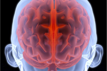 האם ניתן לבדוק כוונה פלילית?