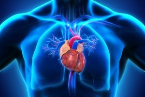 דלקת קרום הלב: תסמינים וטיפול