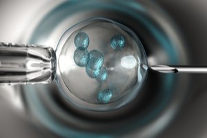 חדש בסל הבריאות: שימור פוריות-תמונה