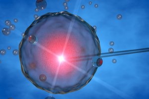 גיל מעבר מוקדם - תמונת אווירה