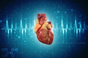 צילום:שאטרסטוק