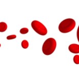 משק הברזל ואנמיה של חסר ברזל-תמונה
