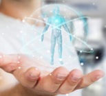 כף הזאב - תמונת אווירה