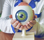 "אבחון מוקדם של גלאוקומה עשוי למנוע אובדן ראייה" -תמונה