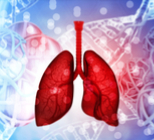 חור בריאה - תמונת אווירה