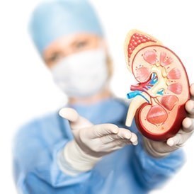תמונת המחשה - נפרולוגיה
